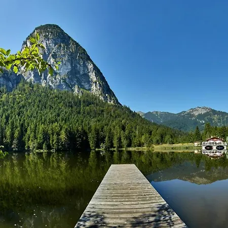 Haus Alpklang Διαμέρισμα *